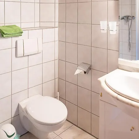 Haus Alpina Apartment Mellau